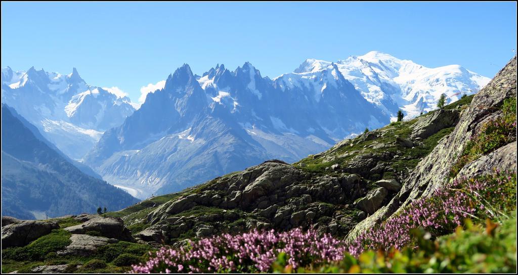 Le Dahu Hotel Chamonix Exterior photo